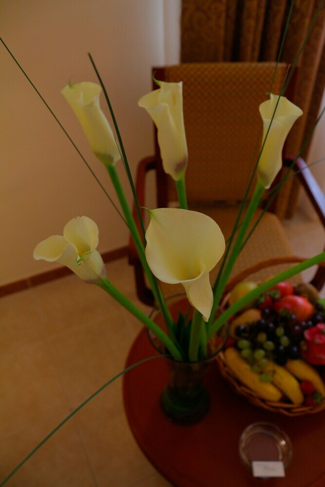 Sharjah Premiere Hotel Resort