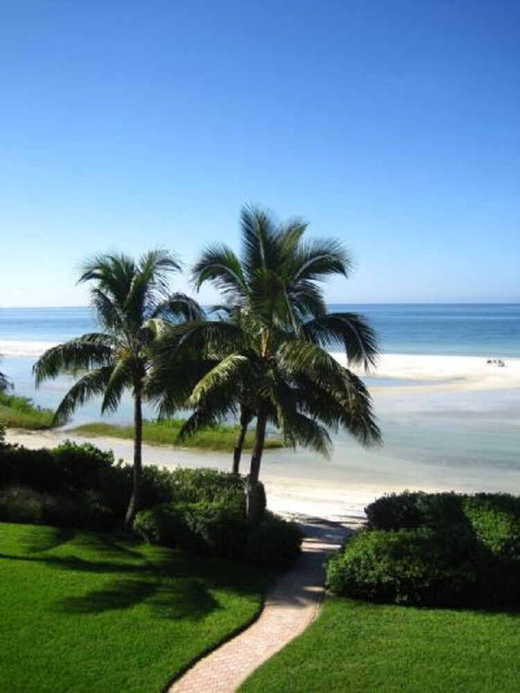 Riviera Club 204