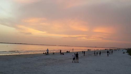 5583 Estero Blvd Iguana Mama's Beach House