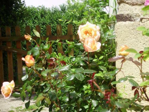 Bed & Breakfast La Bastide Du Moulin - Mont St Michel