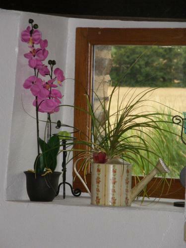 Bed & Breakfast La Bastide Du Moulin - Mont St Michel
