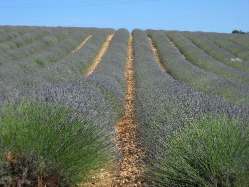 Bed & Breakfast Les Cl�s Du Verdon