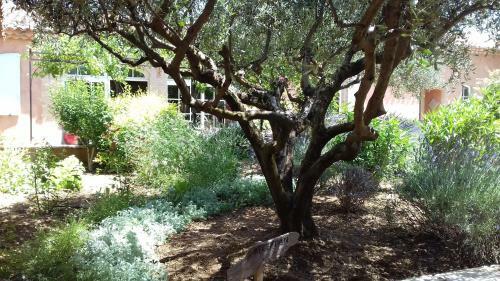 Bed & Breakfast Les Cl�s Du Verdon