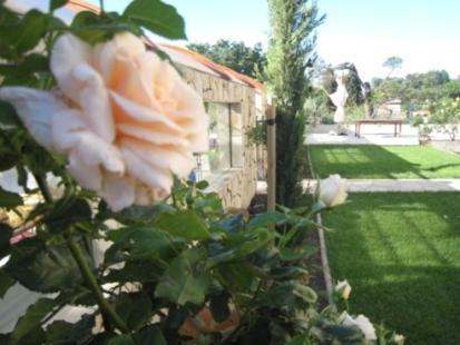 Hostal Chateau Du Comte