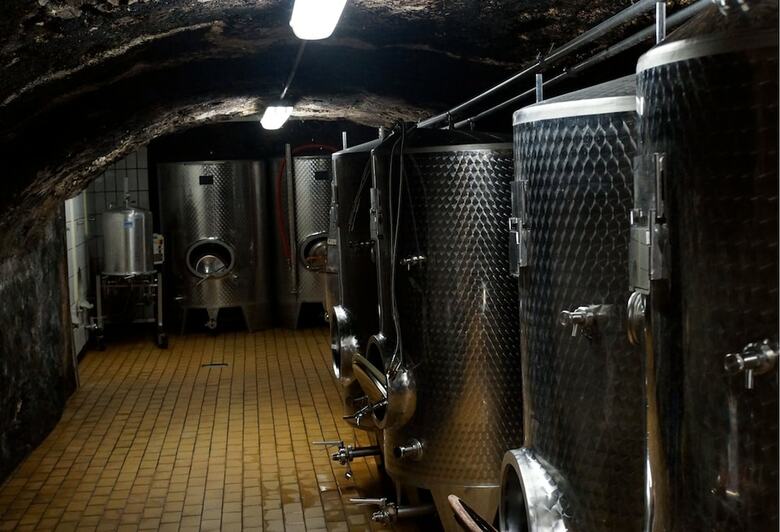 Hotel Classisches Weingut Hoffranzen