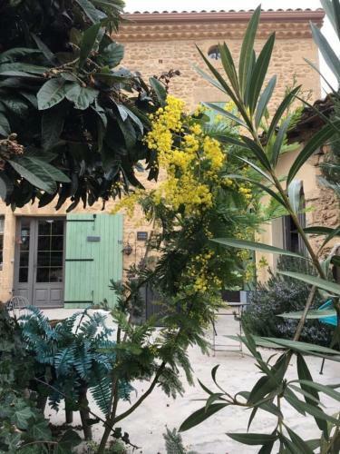 Bed & Breakfast Maison D'h�tes Le Mas De Lila