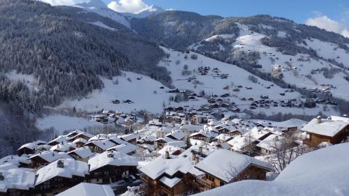 Hotel H�tel Viallet