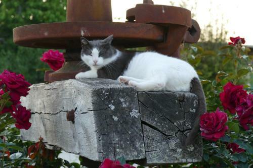 Bed & Breakfast Le Clos Des Perraudi�res