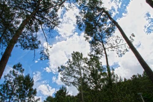 Village De Chalets Camping Bois Simonet
