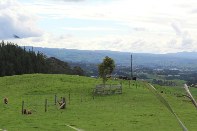 Bed & Breakfast Arohanui Rural Retreat & Bnb