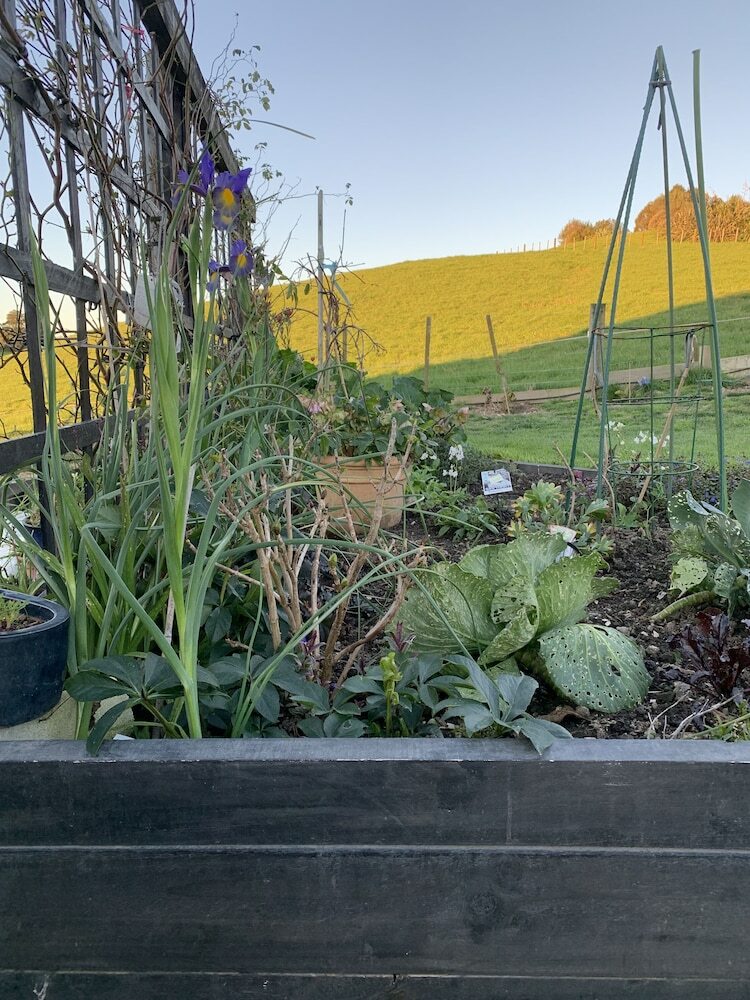 Bed & Breakfast Arohanui Rural Retreat & Bnb