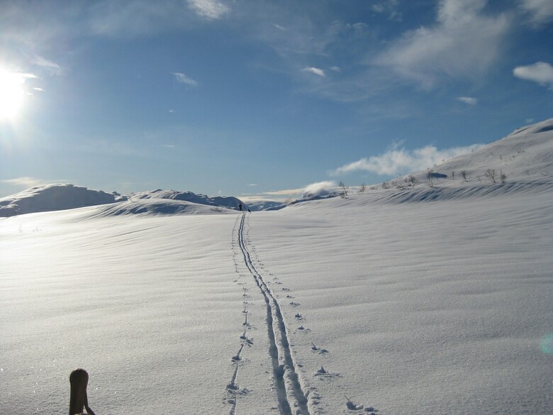 Cabana Haugen Fjellgard