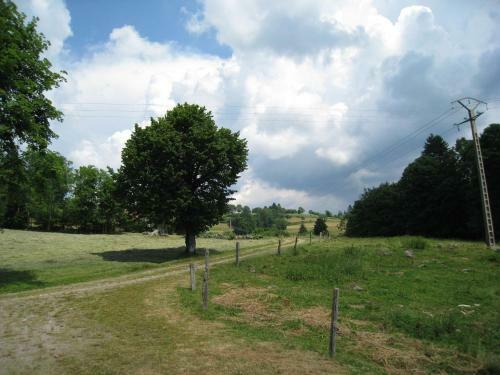 Chalet La Bergerie Saulxures Sur Moselotte