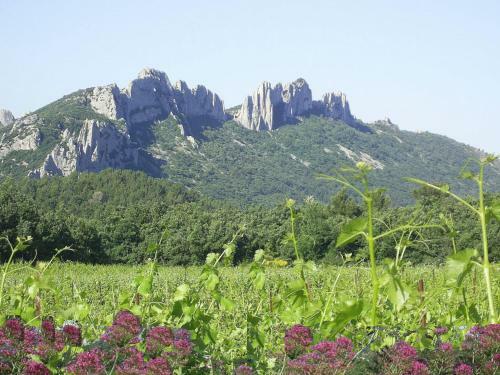 Lodge Holiday Home Romarin VI Valreas