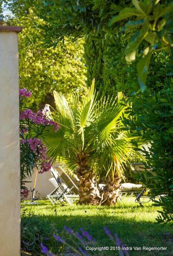 Bed & Breakfast Maison D'anvers