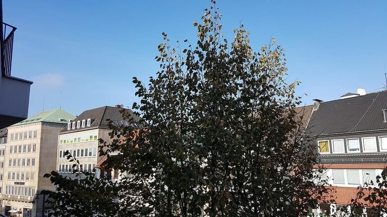 Apartamento Ferienwohnung Domshof