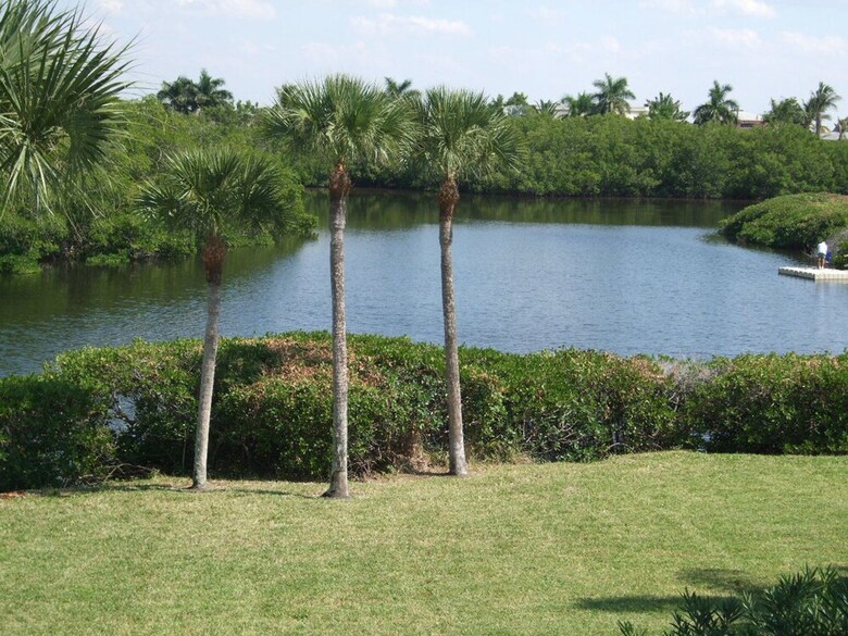 Bay Village 204