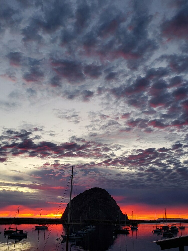 Aparthotel Gray's Inn & Gallery