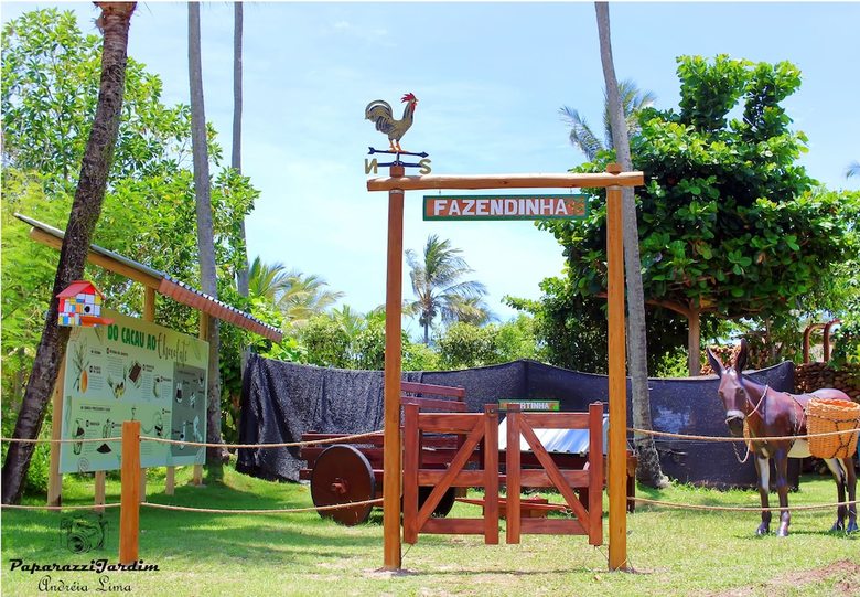 Hotel Jardim Atl�ntico Beach Resort