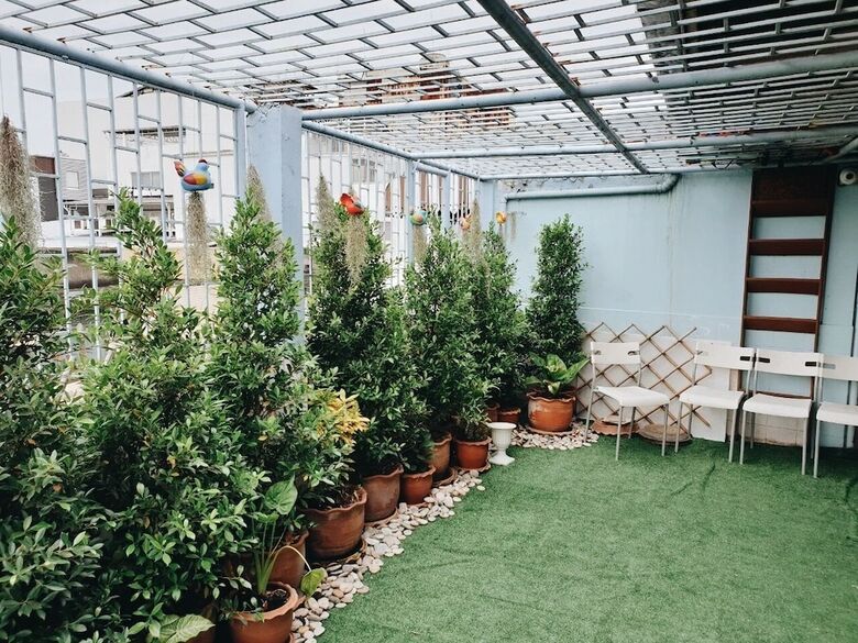 Hostal Nine Cafe' Hostel Travel