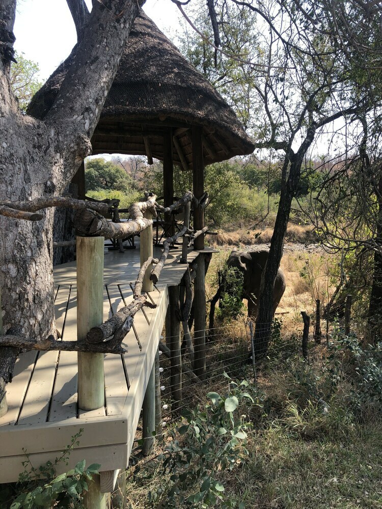 Posada Toro River Lodges Big 5 Exclusive Safari