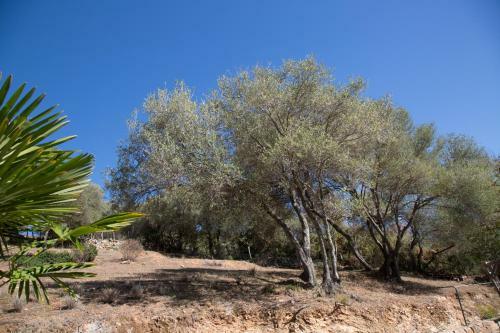 Apartamento Appartements A Merendella