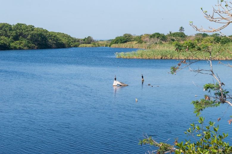 Hotchtel - Glamping Tecolutla