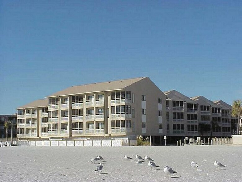 Pelicans Watch By Myrtle Beach Vr