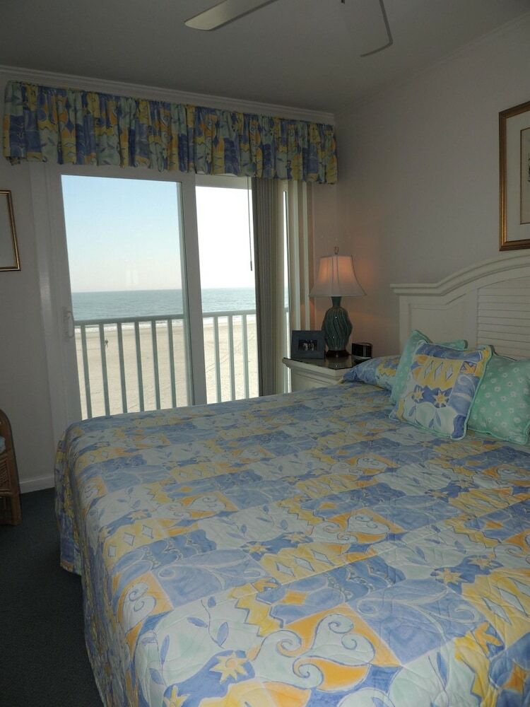 Pelicans Watch By Myrtle Beach Vr