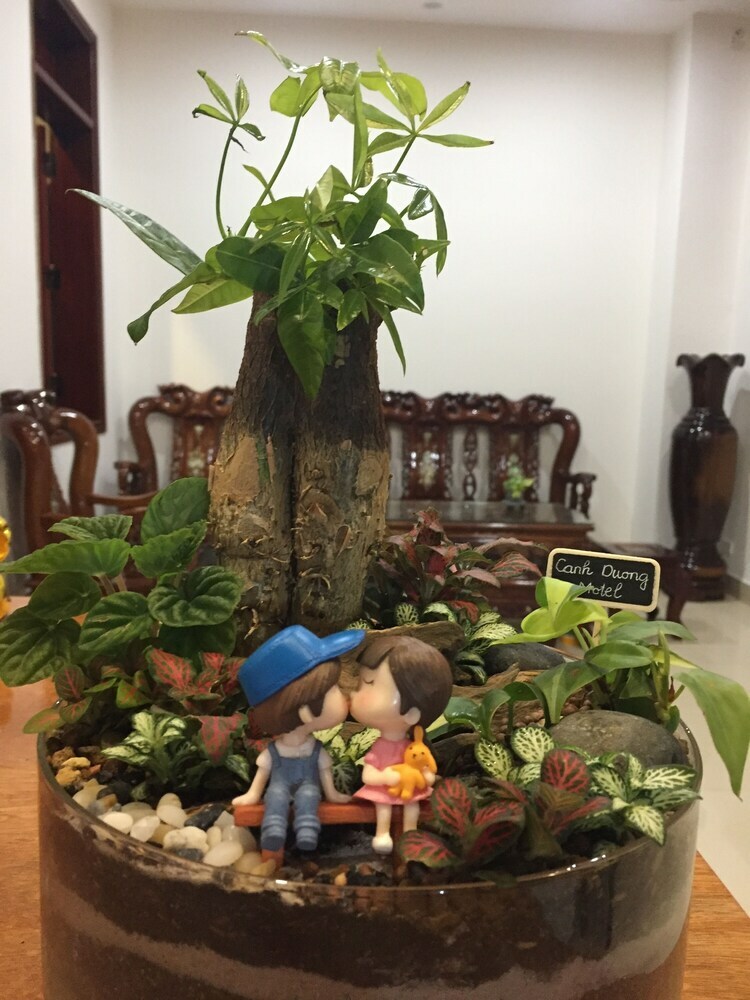 Hotel Canh Duong Motel