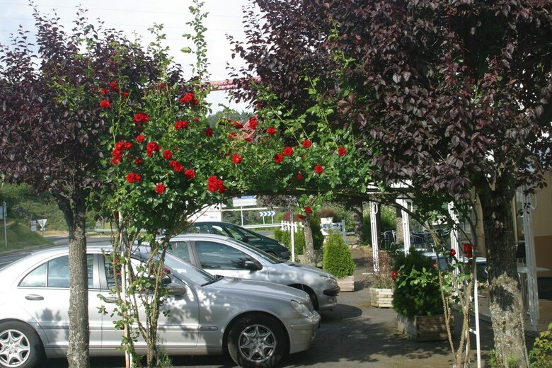 Hotel Garabit H�tel