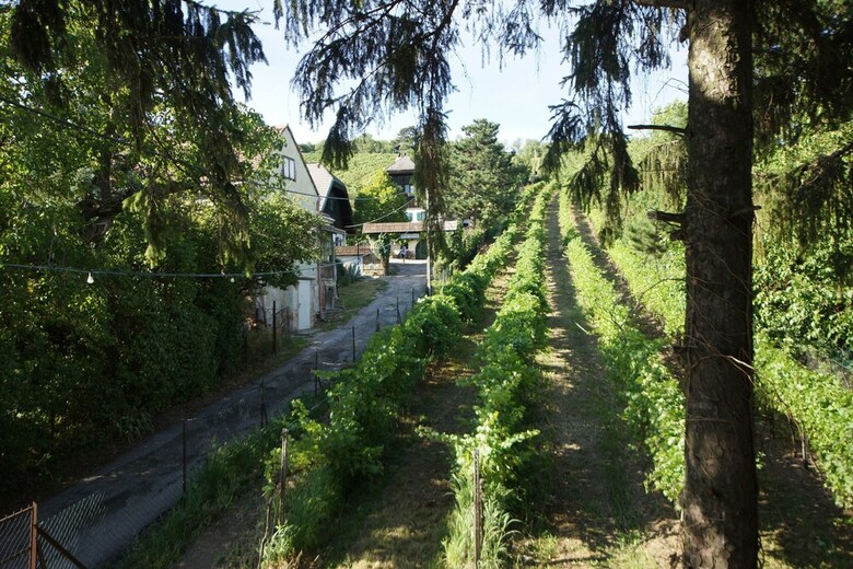 Vacationhome In The Vineyards