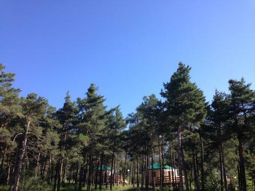 Parc R�sidentiel de Loisir : Le Loup Blanc Du Riou