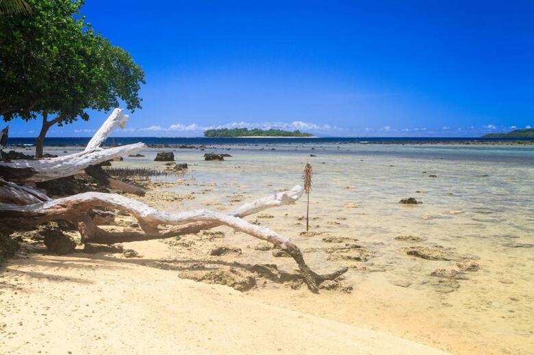 Hotel Turtle Bay Lodge