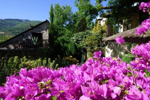 Hotel H�tel Du Lion D'or
