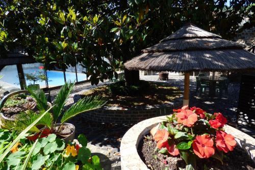 Hotel H�tel Du Lion D'or