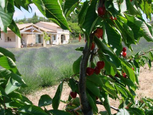 Le Clos D'estellan - B&B