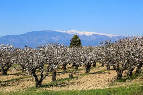 Bed & Breakfast Une Sieste En Luberon