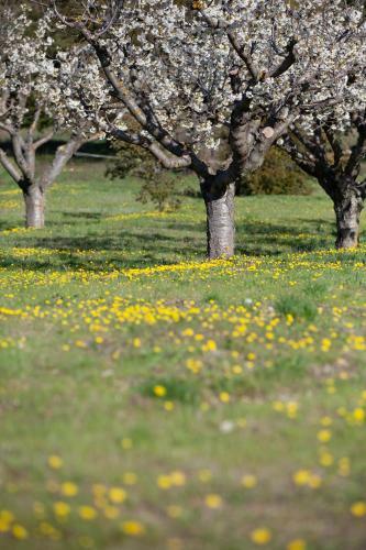Le Clos D'estellan - Gite
