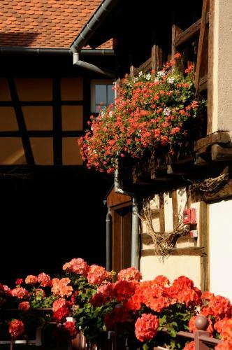 Hotel H�tel-r�sidence La Cour Du Bailli