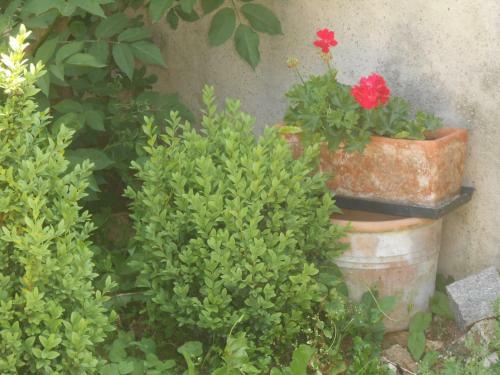 Bed & Breakfast G�te Du Rotenberg