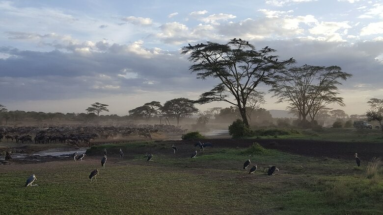 Zawadi Serengeti Camp