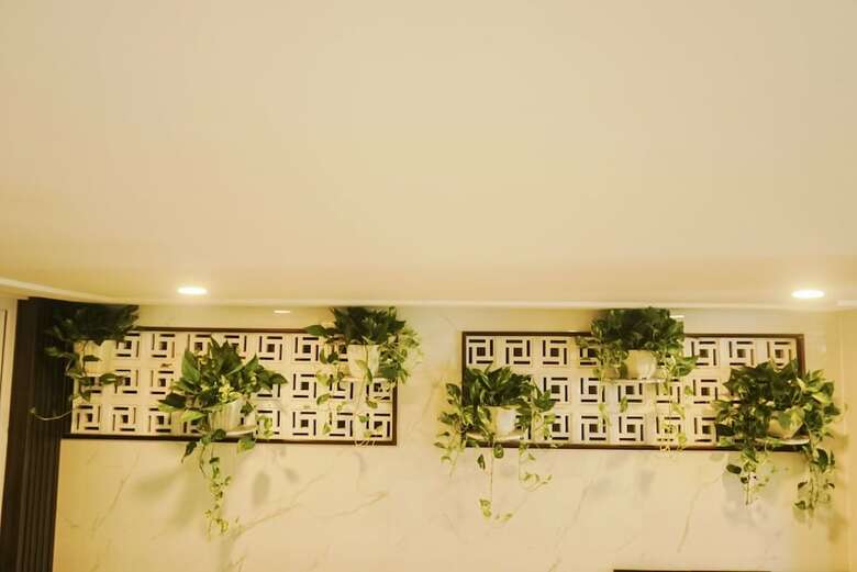 Aparthotel Palm Apartment