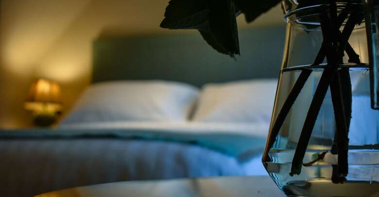 Hotel Plas Weunydd