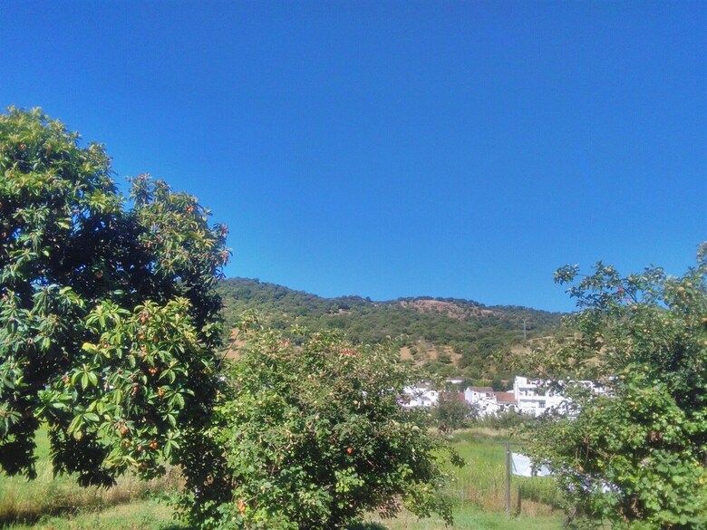 Four-bedroom House Near Ronda