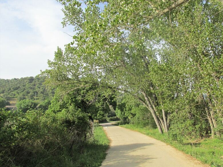 Four-bedroom House Near Ronda