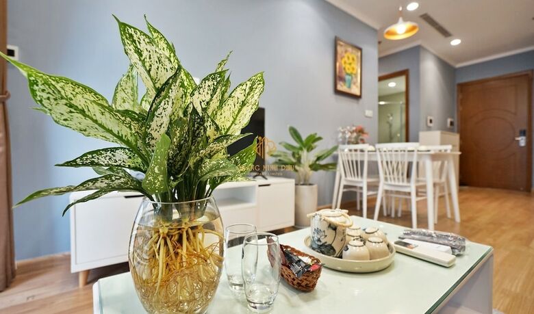 Apartamentos Rosy House Skylake