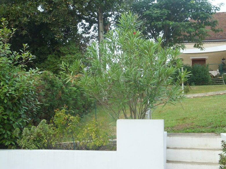 Hotel Accueil Lafaye21