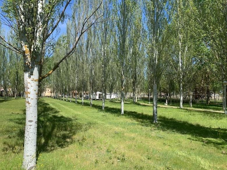 Camping El Tormes