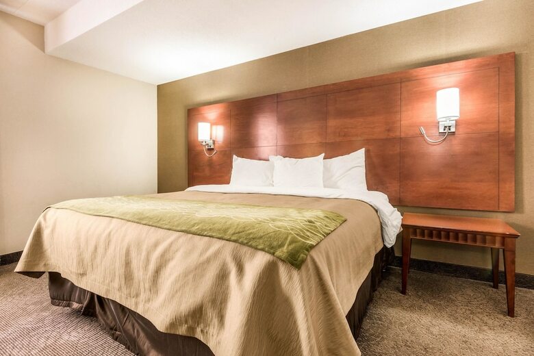 Hotel Comfort Inn And Suites